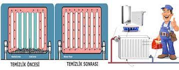 Petek Temizleme